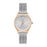 Γυναικεία Ρολόγια Ted Baker TE50650003 (Ø 32 mm)