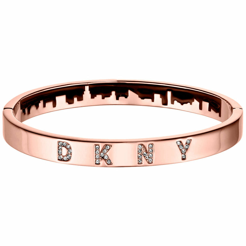 Γυναικεία Βραχιόλια DKNY 5520002 6 cm